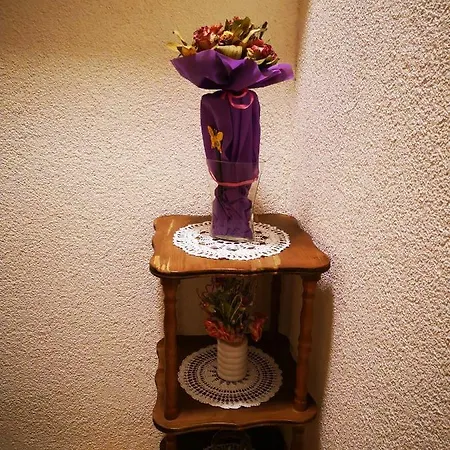 Ruza- Ruza Apartment *