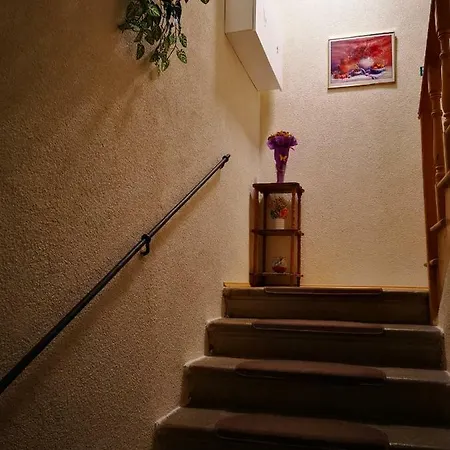 Apartment Ruza- Ruza Cres