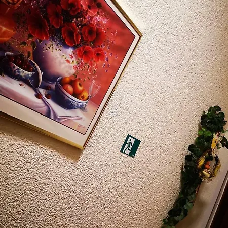 Ruza- Ruza Apartment *
